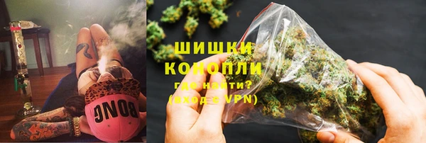 молекула духа Пересвет