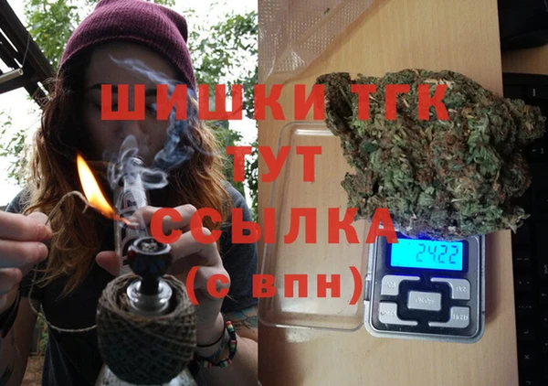 молекула духа Пересвет