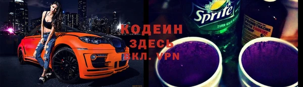 молекула духа Пересвет