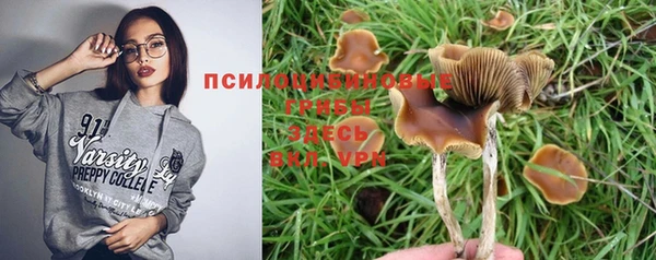 молекула духа Пересвет