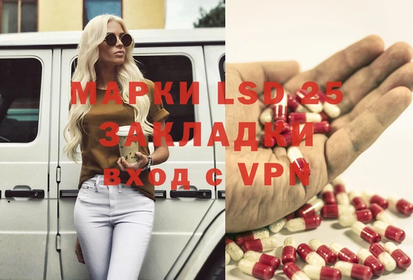 молекула духа Пересвет