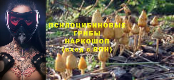 тгк Пестово