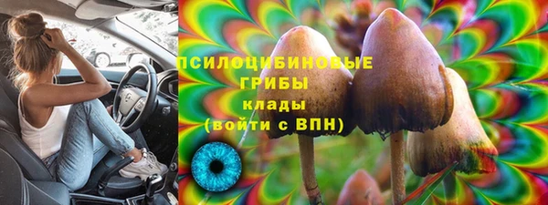 молекула духа Пересвет