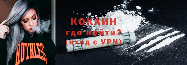 молекула духа Пересвет