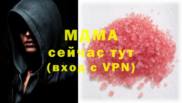молекула духа Пересвет