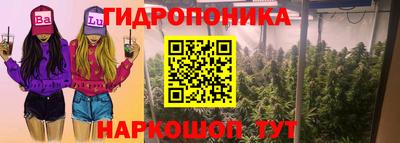 гидропоника Берёзовский