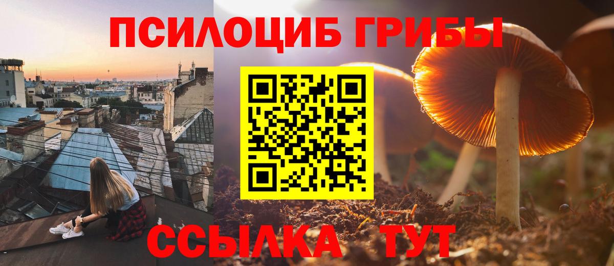 Галлюциногенные грибы Magic Shrooms  Псилоцибиновые грибы мицелий  Вход с VPN  Аксай 