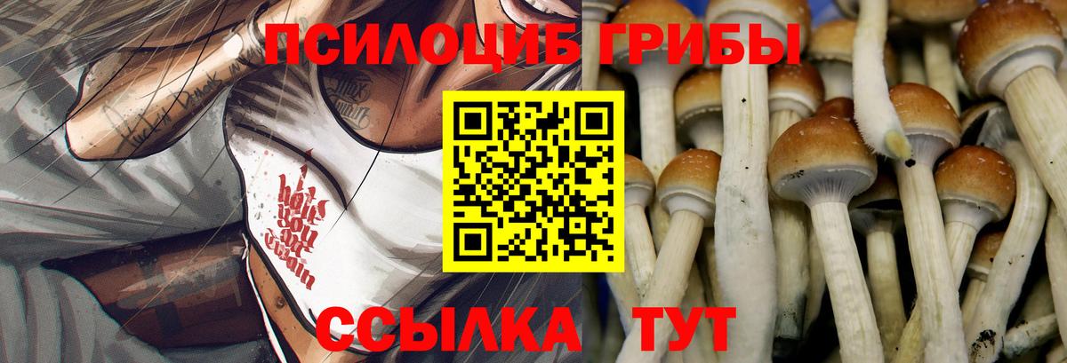 Псилоцибиновые грибы Cubensis Аксай